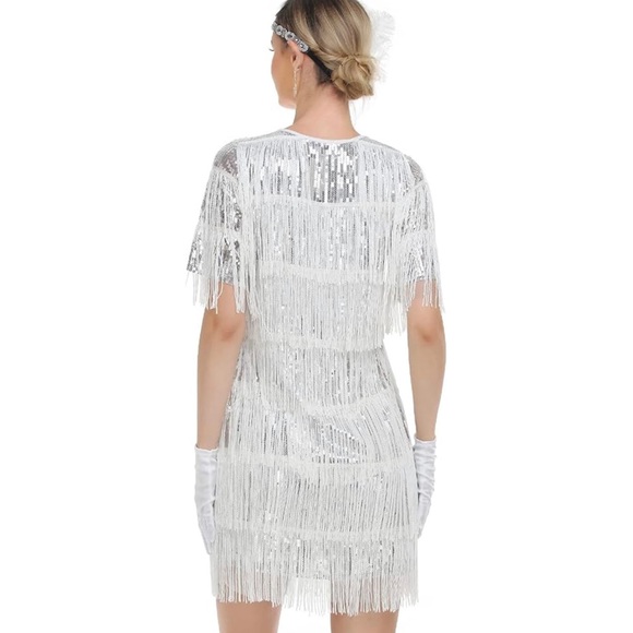 SILVER & WHITE Fringe Elegant & Fancy Dress. A Party Dress & A Costume Gown - Picture 3 of 8